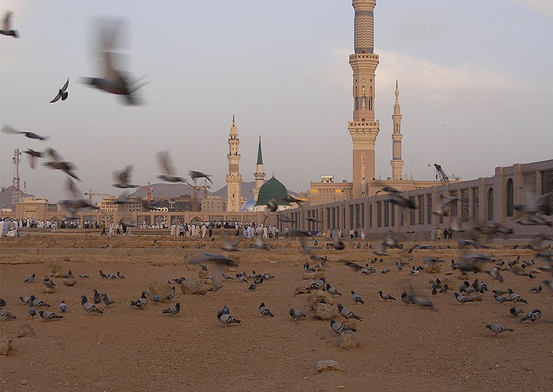 معالم المملكة العربية السعودية بالصور