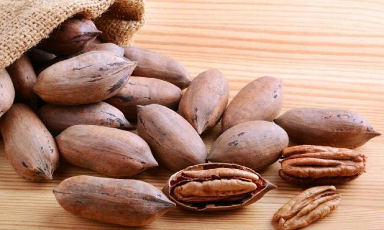 الفرق بين الجوز وعين الجمل