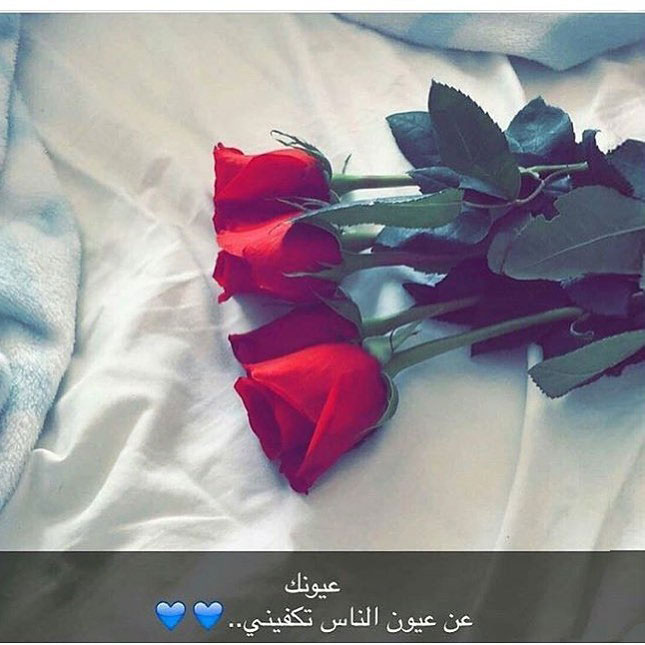 رمزيات سناب شات كيوت وكتابه