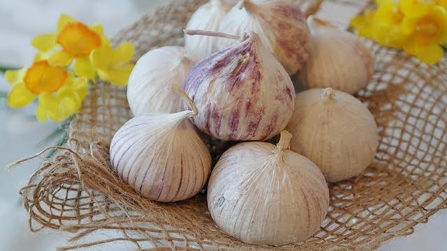 علاج الركبة بالثوم