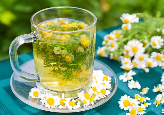 فوائد وأضرار البابونج