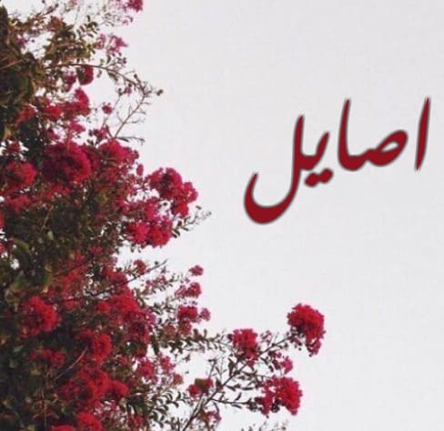 معنى اسم اصايل وصفات حامل الاسم معنى اسم اصايل وصفات حامل الاسم