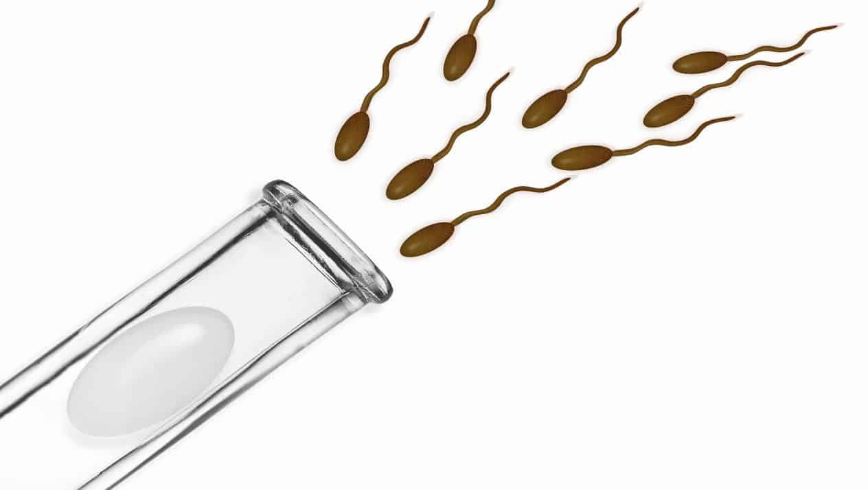 هل لابد من الراحه بعد التلقيح الصناعي