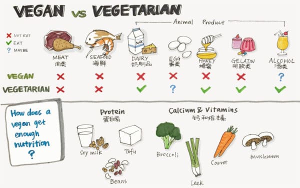 الفرق بين vegan و vegetarian