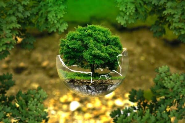 دور القدوة في التعامل مع البيئة
