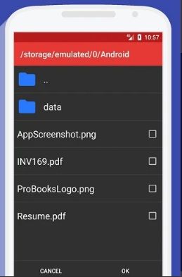 PDF Converter Pro
